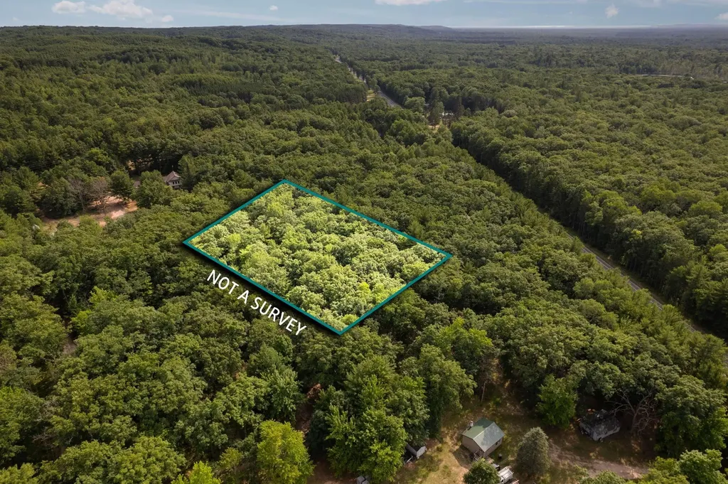 Lots 137 & 138 Tabor Avenue Grant Township MI 49643