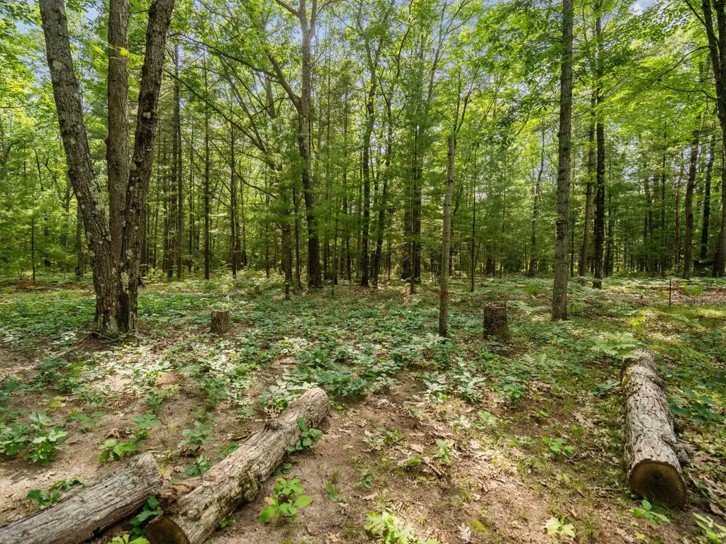 Lots 137 & 138 Tabor Avenue Grant Township MI 49643