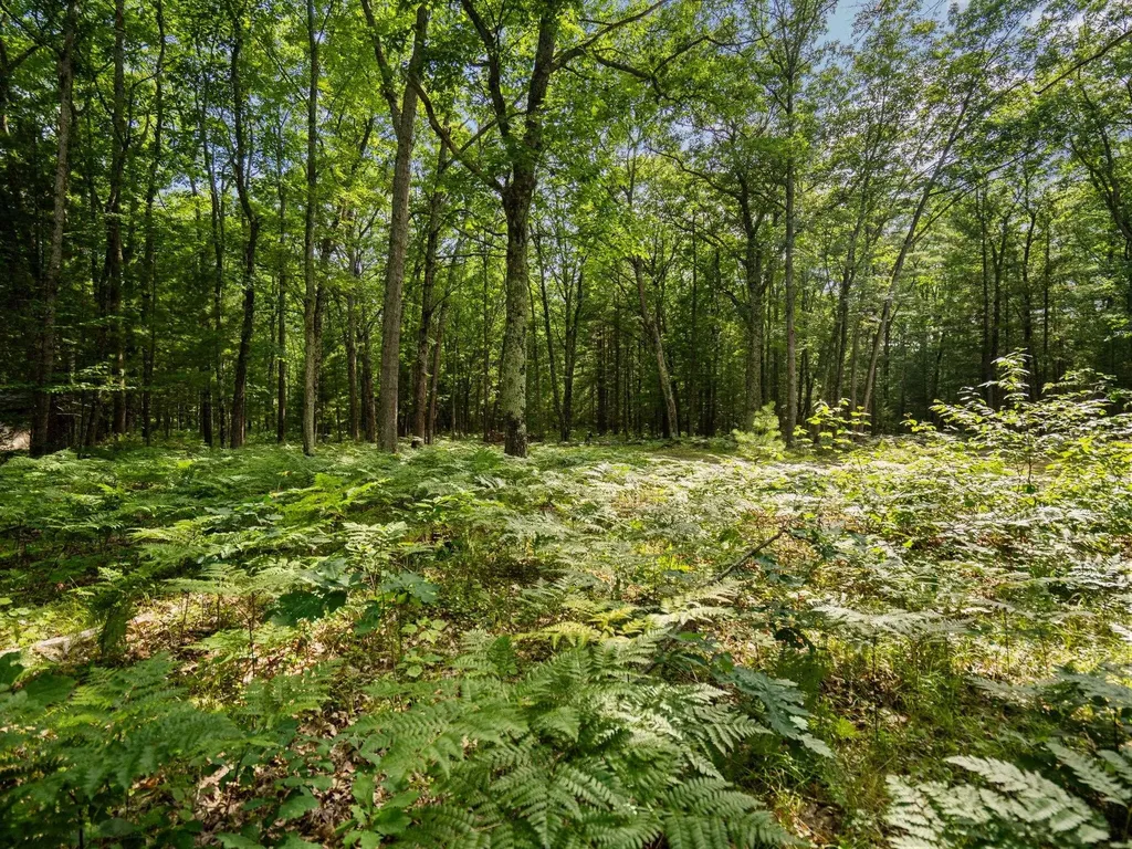 Lots 137 & 138 Tabor Avenue Grant Township MI 49643