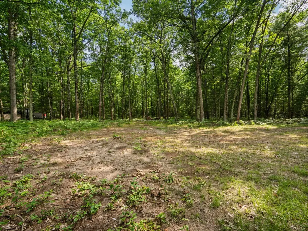 Lots 137 & 138 Tabor Avenue Grant Township MI 49643