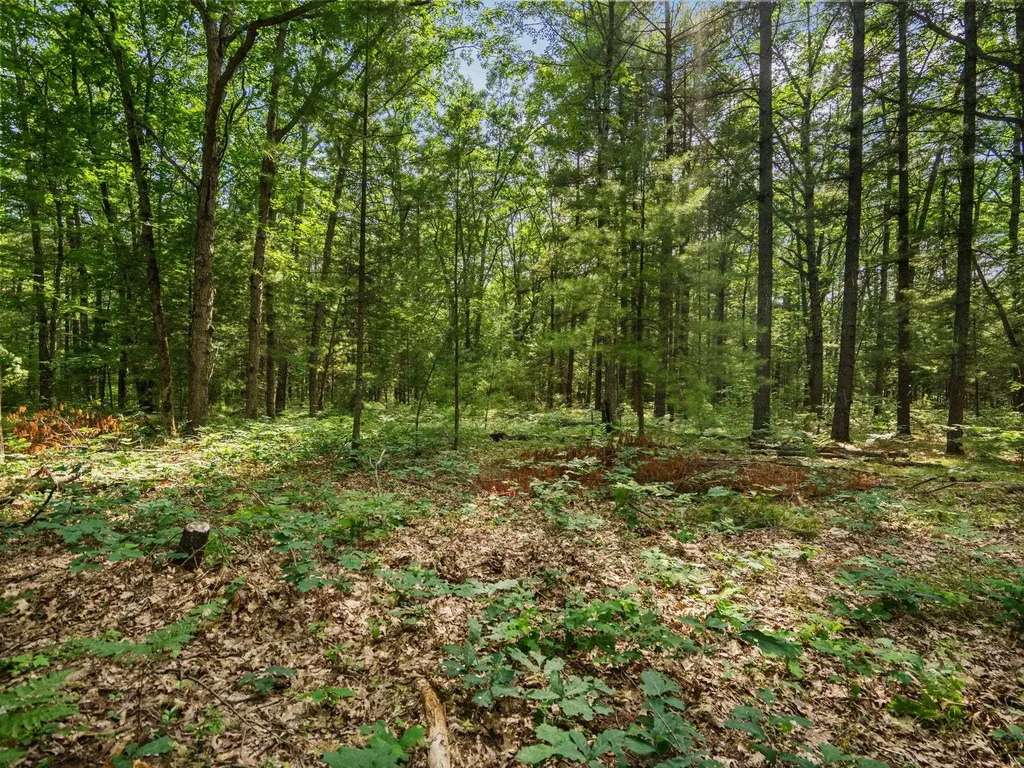 Lots 137 & 138 Tabor Avenue Grant Township MI 49643