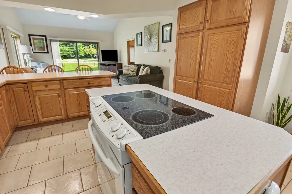 133 North Shore Drive West Cadillac City MI 49601