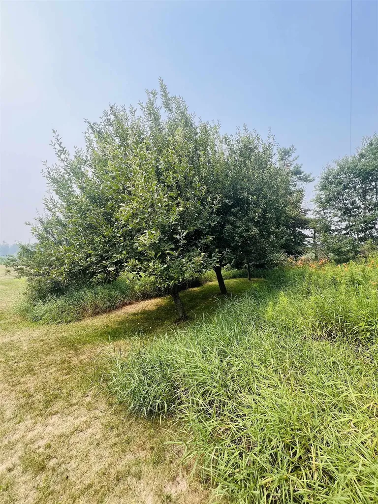 7815 Hibma Road Highland Township MI 49665