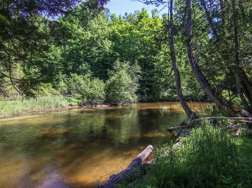 15651 Holly Drive Springdale Township MI 49683