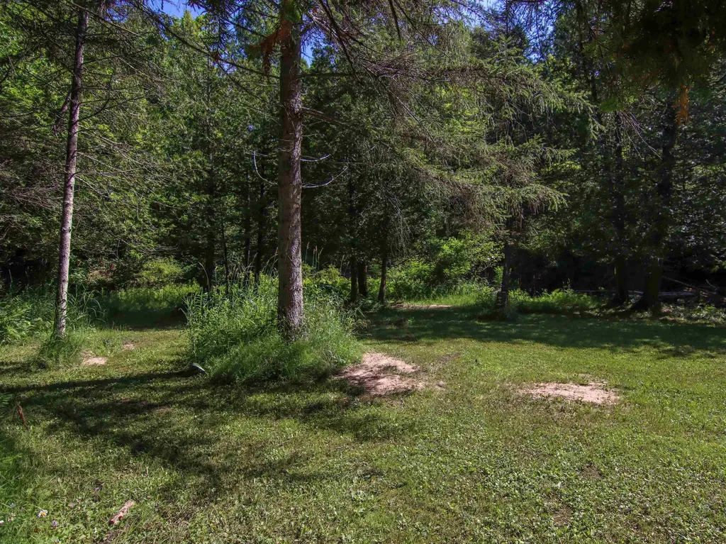 15651 Holly Drive Springdale Township MI 49683