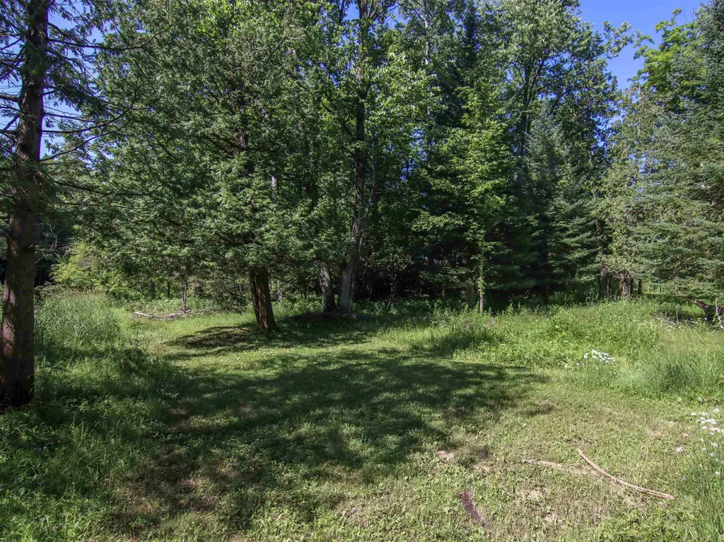 15651 Holly Drive Springdale Township MI 49683