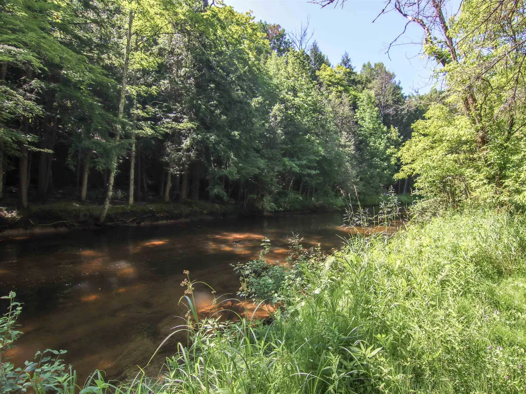 15651 Holly Drive Springdale Township MI 49683
