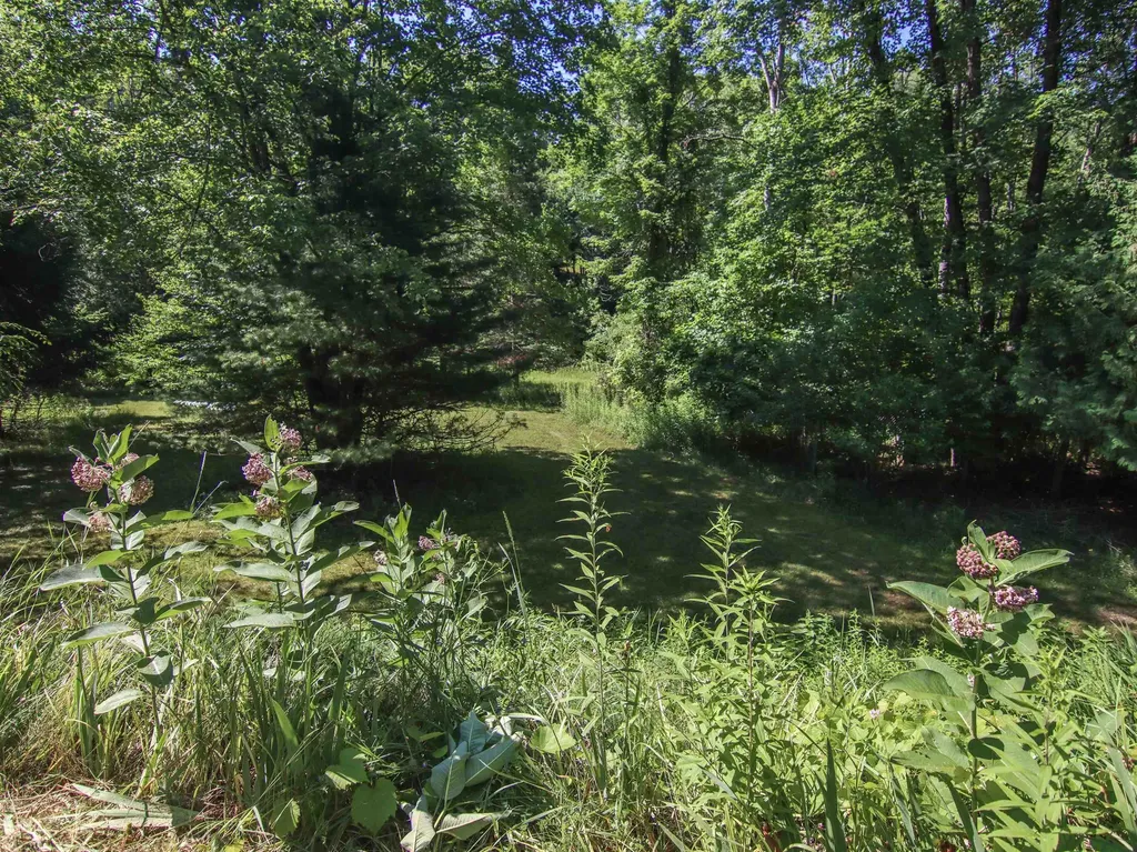 15651 Holly Drive Springdale Township MI 49683