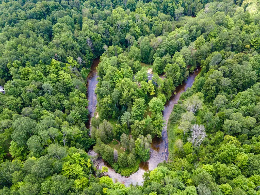 15651 Holly Drive Springdale Township MI 49683