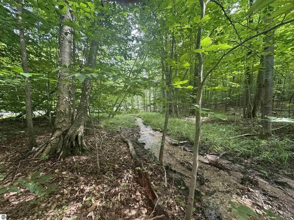 0 Six Mile Lake Road South Arm Township MI 49729