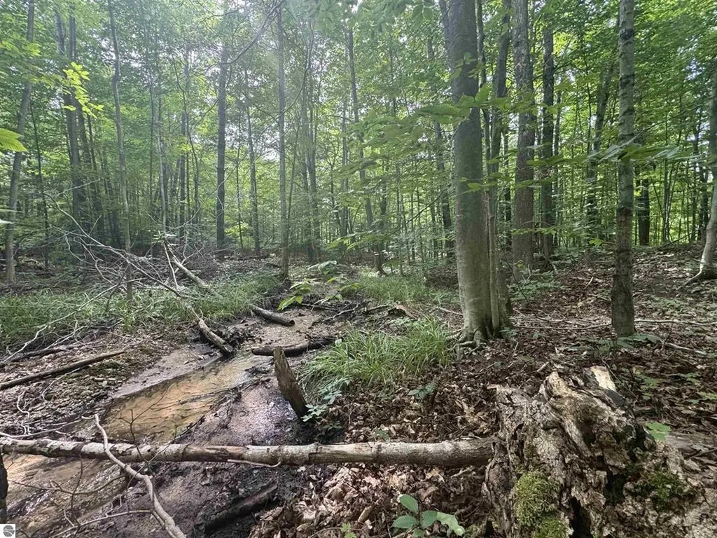 0 Six Mile Lake Road South Arm Township MI 49729