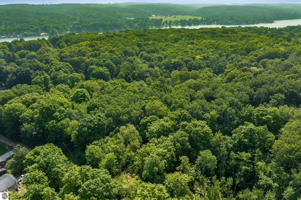 0 Six Mile Lake Road South Arm Township MI 49729