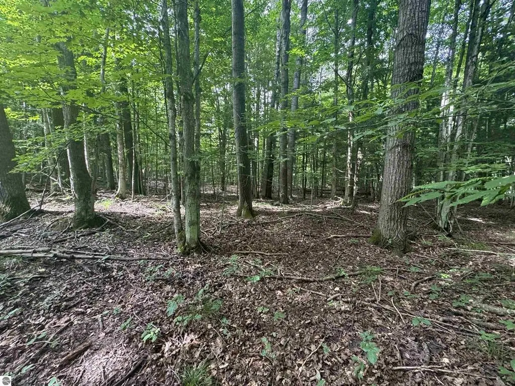 0 Six Mile Lake Road South Arm Township MI 49729