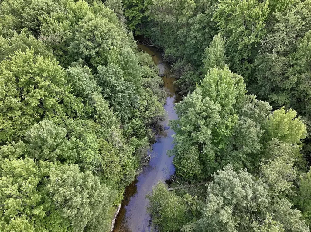 8304 W Whispering Pine Circle Lake Township MI 49651