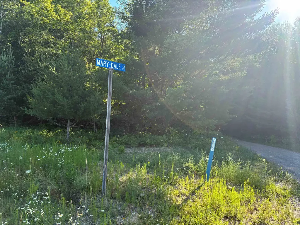 Brier Patch Lane Custer Township MI 49659