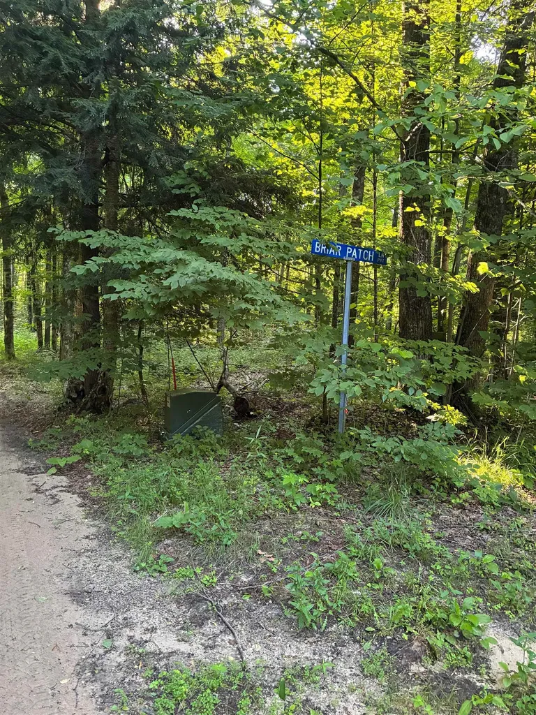 Brier Patch Lane Custer Township MI 49659