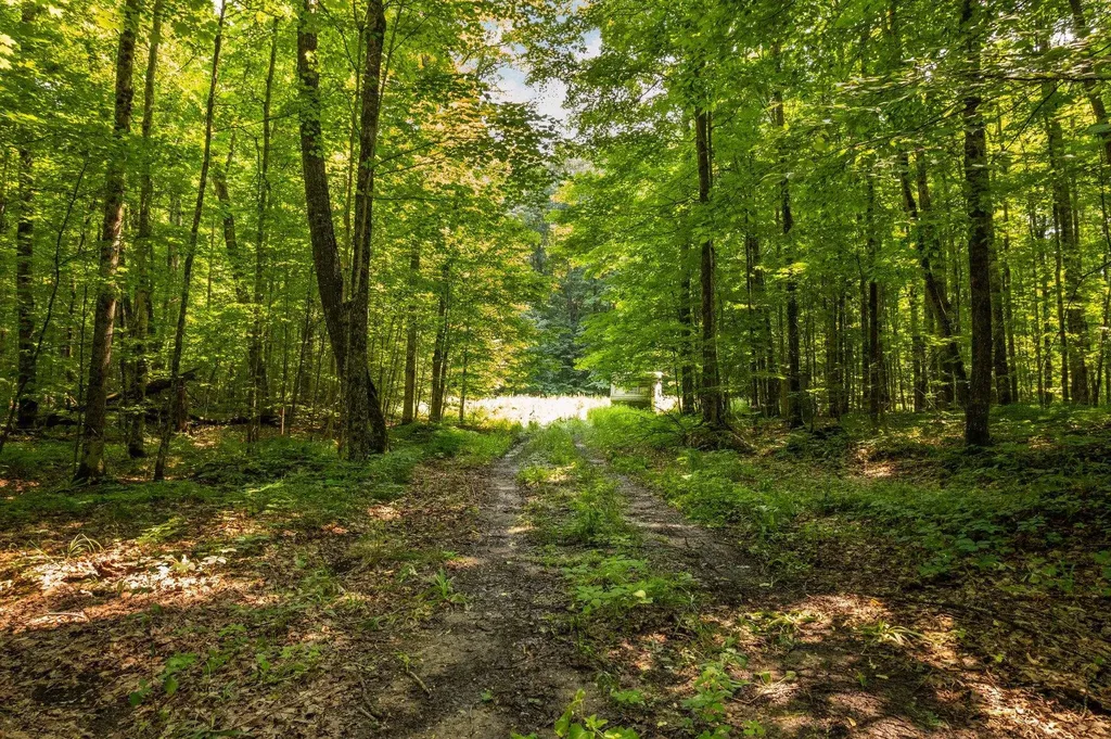 Brier Patch Lane Custer Township MI 49659