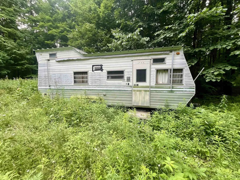 Brier Patch Lane Custer Township MI 49659
