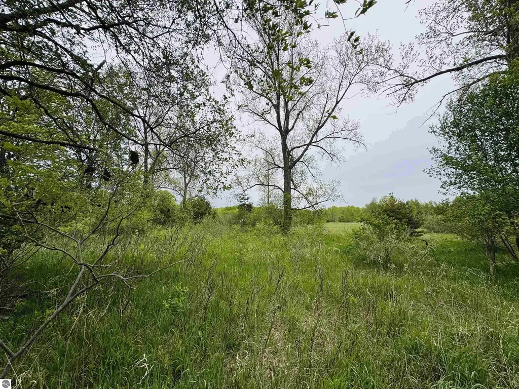 Packingham Road Caldwell Township MI 49663