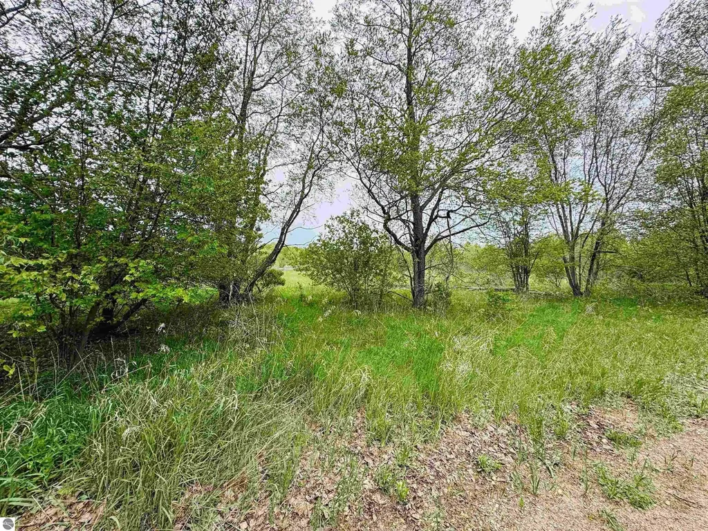 Packingham Road Caldwell Township MI 49663