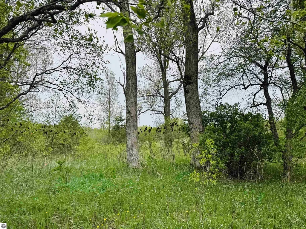 Packingham Road Caldwell Township MI 49663