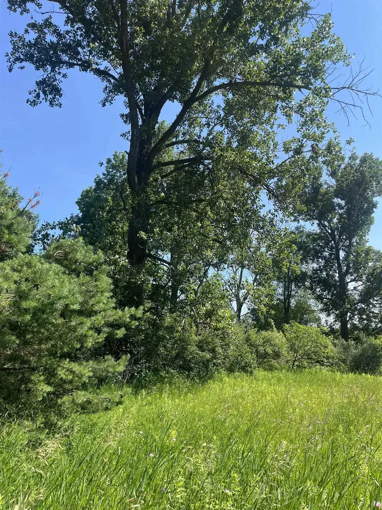 Packingham Road Caldwell Township MI 49663