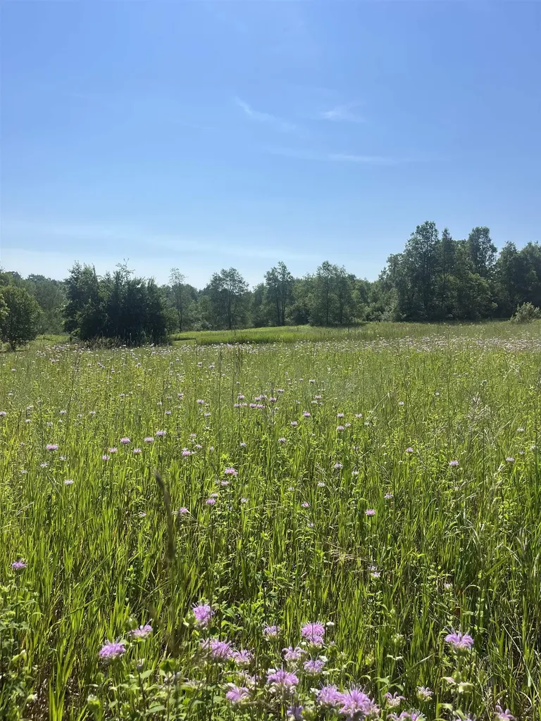 Packingham Road Caldwell Township MI 49663