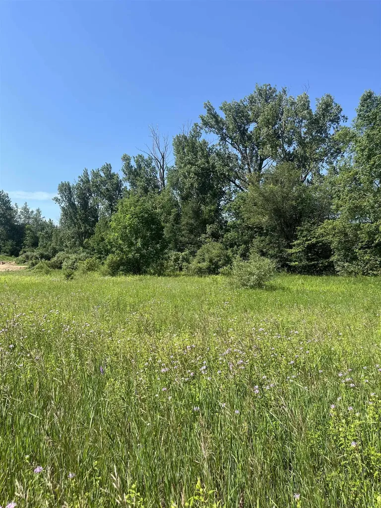 Packingham Road Caldwell Township MI 49663