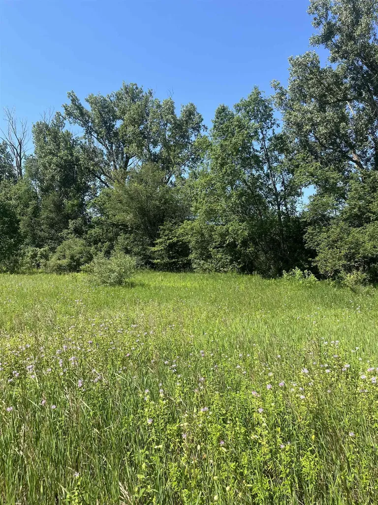Packingham Road Caldwell Township MI 49663