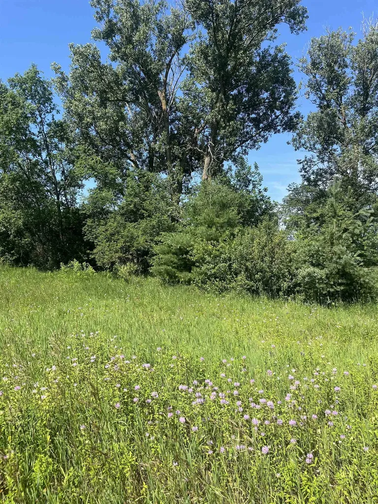 Packingham Road Caldwell Township MI 49663