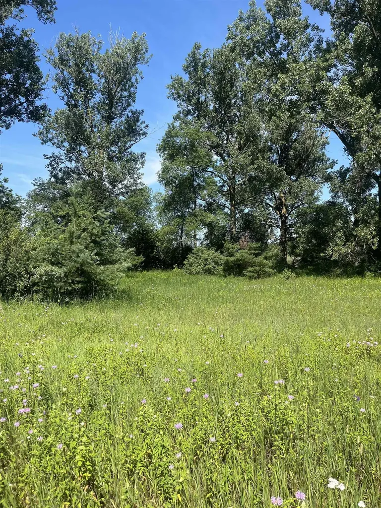 Packingham Road Caldwell Township MI 49663