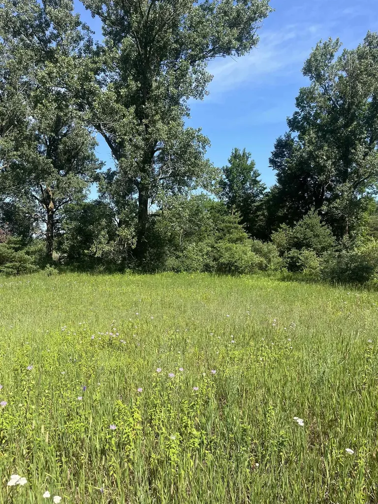 Packingham Road Caldwell Township MI 49663