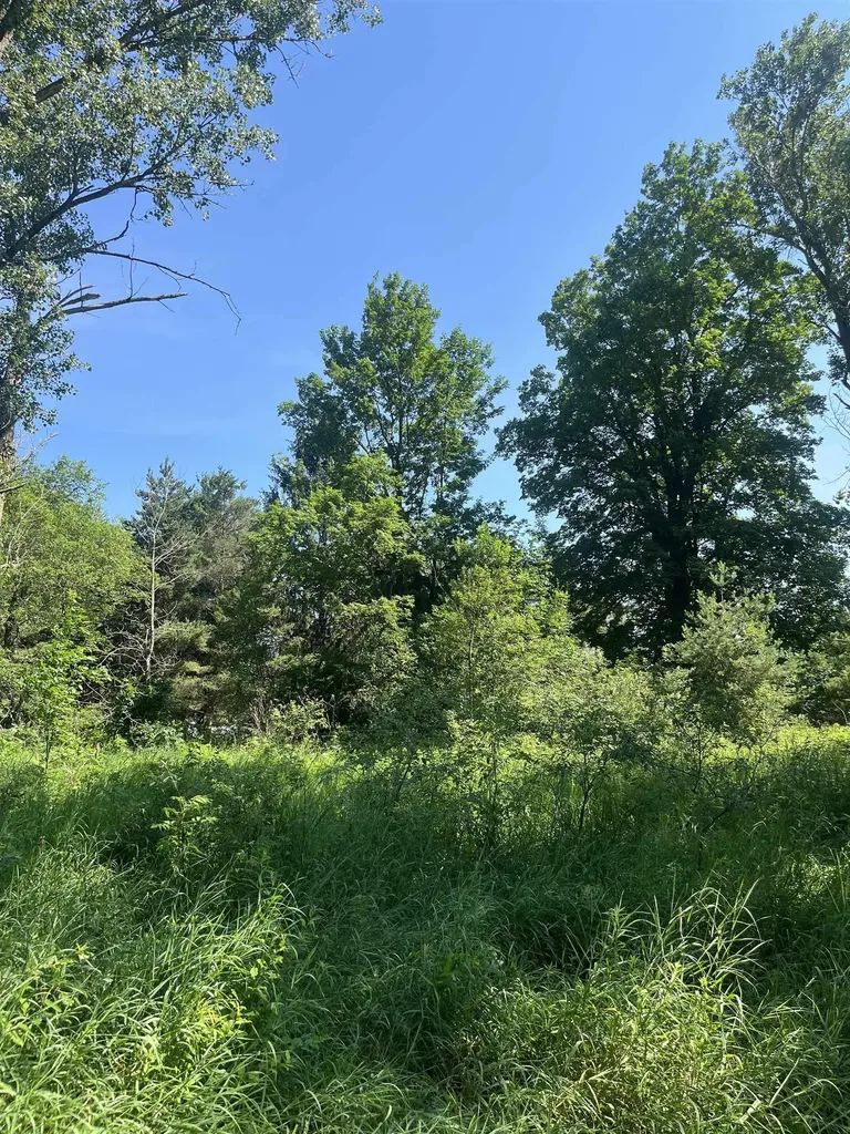Packingham Road Caldwell Township MI 49663