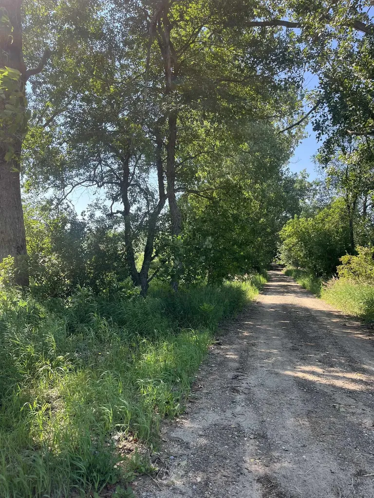 Packingham Road Caldwell Township MI 49663
