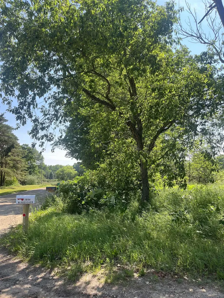 Packingham Road Caldwell Township MI 49663