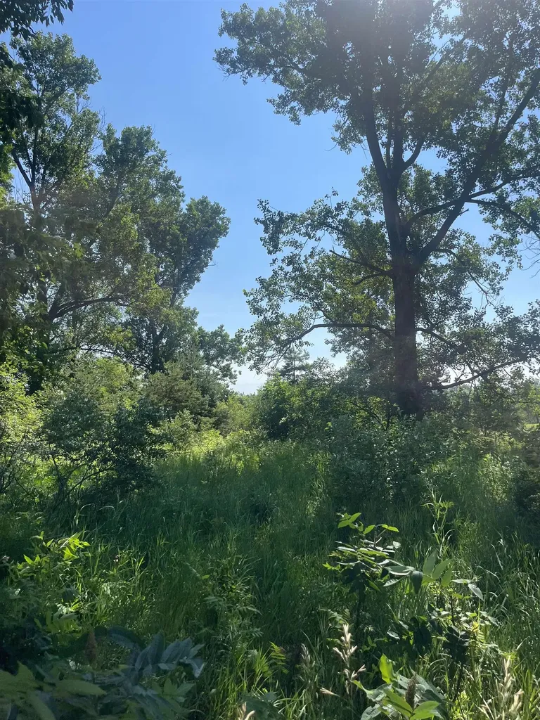 Packingham Road Caldwell Township MI 49663