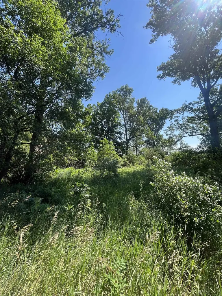 Packingham Road Caldwell Township MI 49663