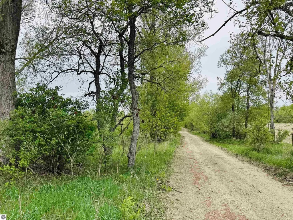 Packingham Road Caldwell Township MI 49663