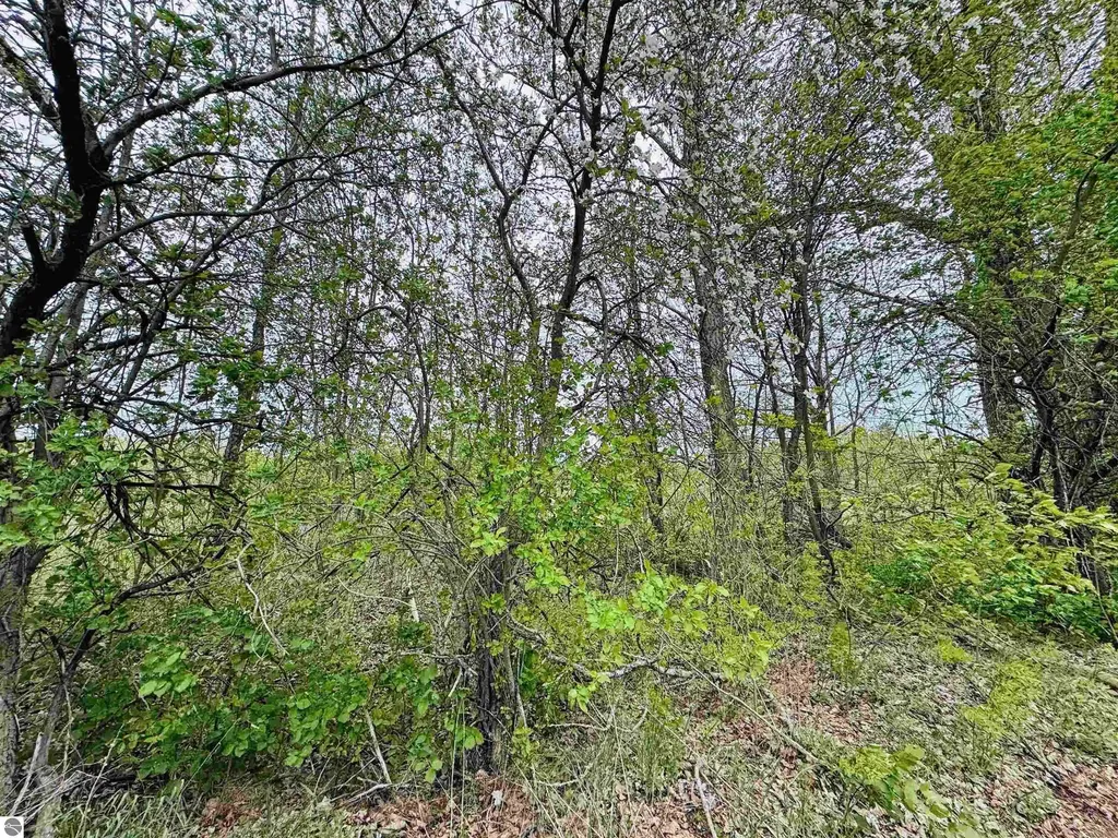 Packingham Road Caldwell Township MI 49663