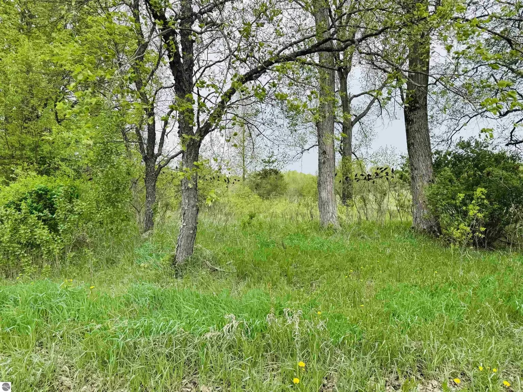 Packingham Road Caldwell Township MI 49663