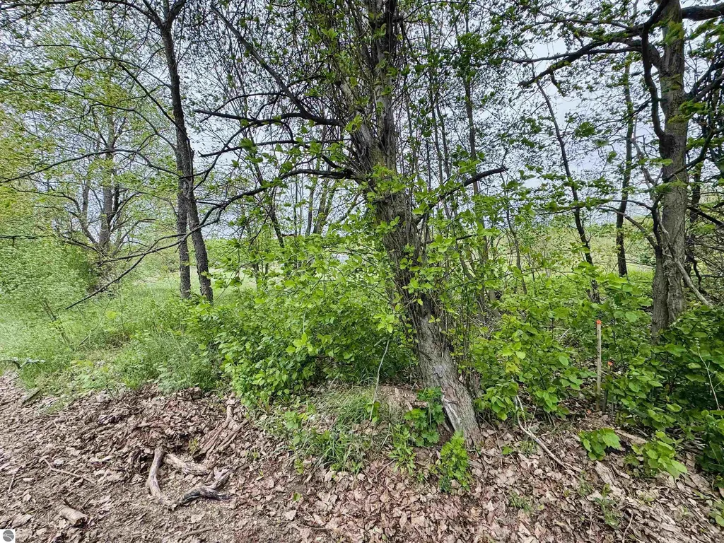 Packingham Road Caldwell Township MI 49663
