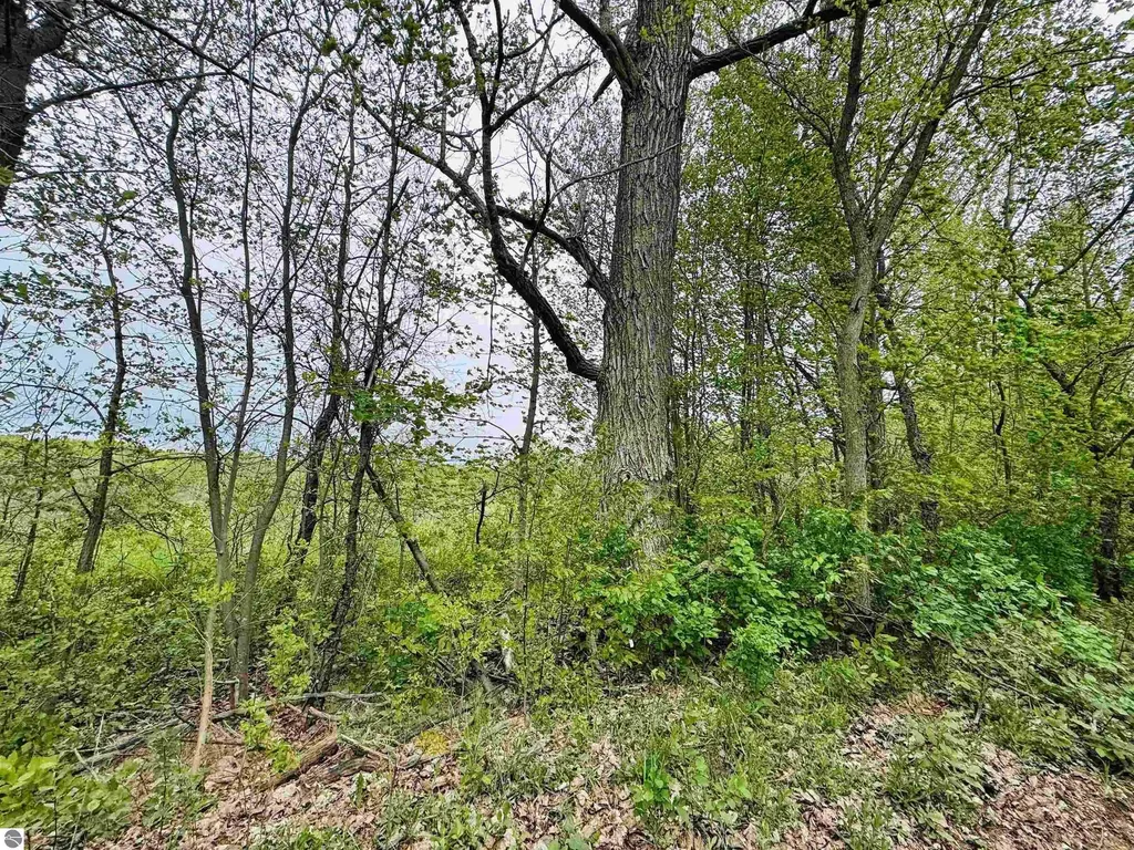 Packingham Road Caldwell Township MI 49663