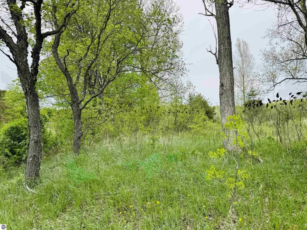 Packingham Road Caldwell Township MI 49663