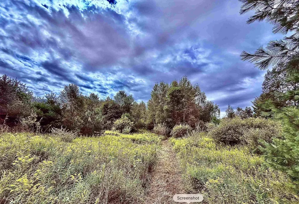 694 W M-113 Mayfield Township MI 49649