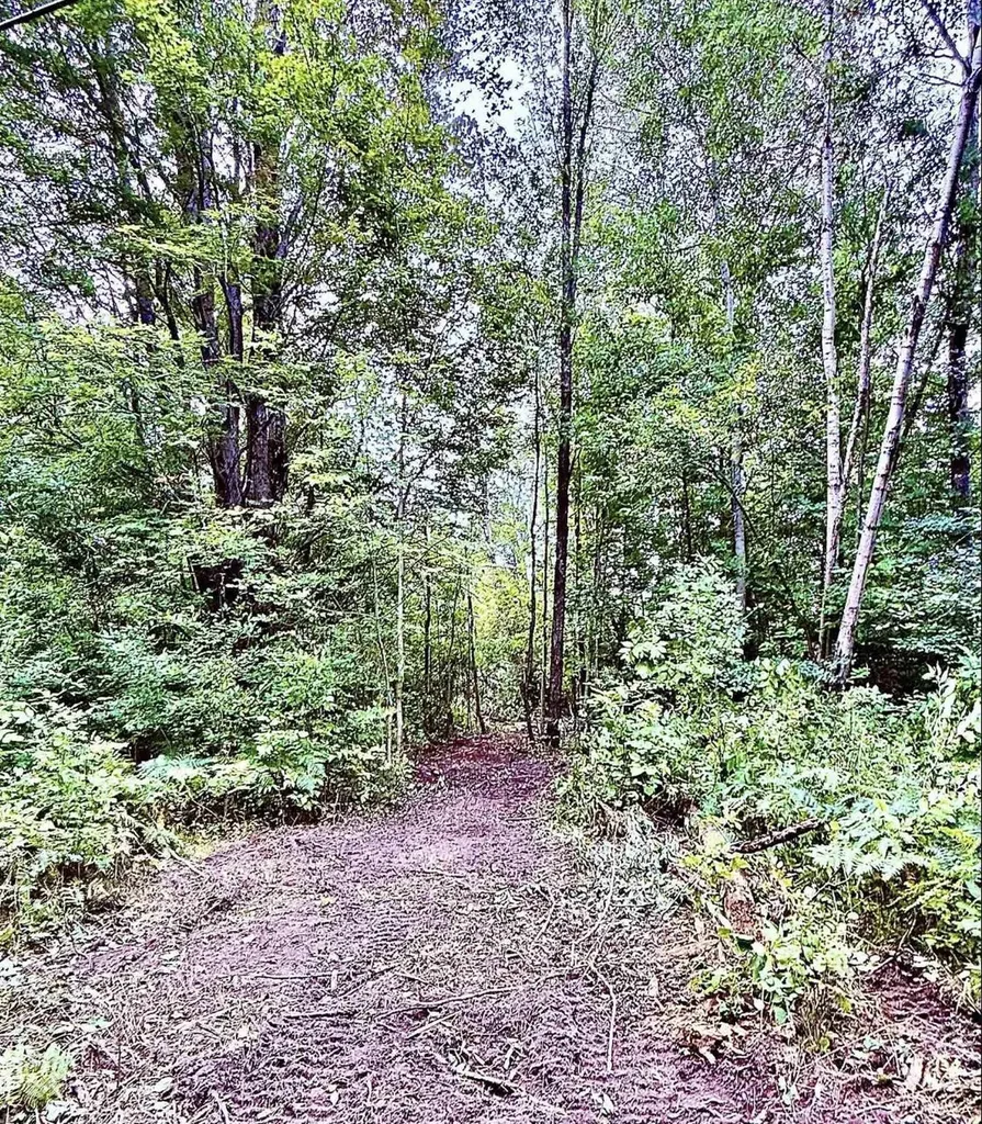 694 W M-113 Mayfield Township MI 49649