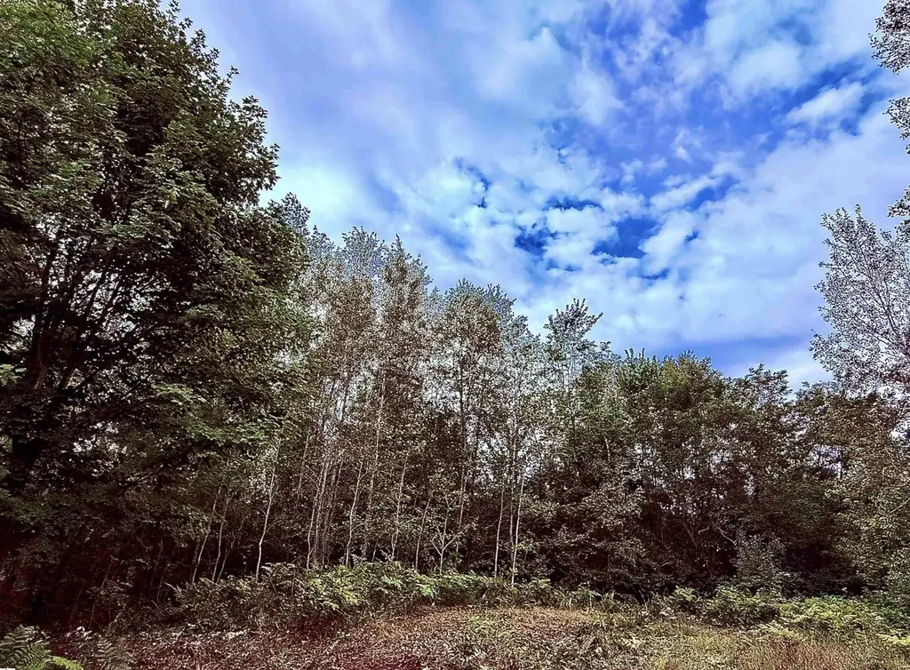694 W M-113 Mayfield Township MI 49649