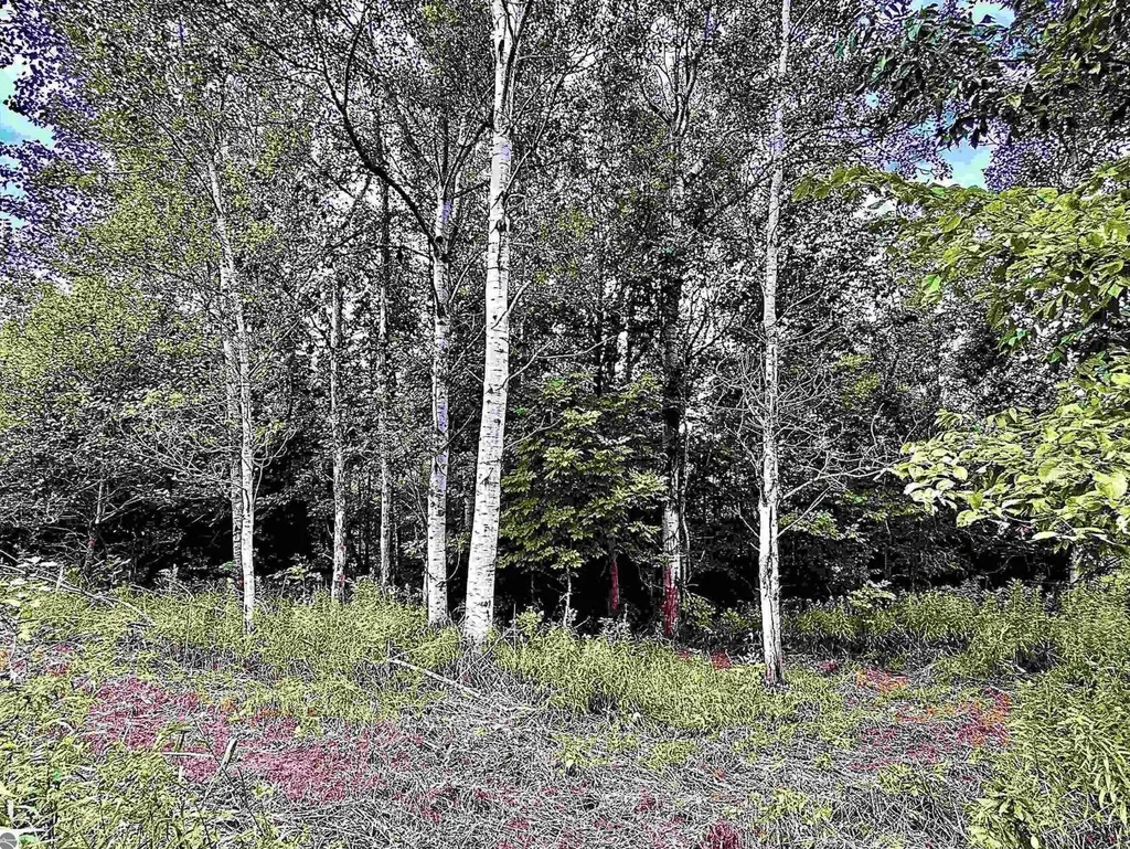 694 W M-113 Mayfield Township MI 49649