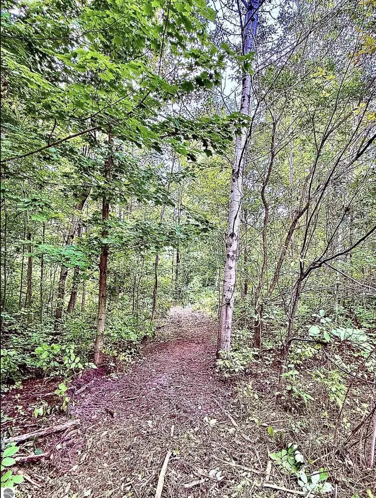 694 W M-113 Mayfield Township MI 49649