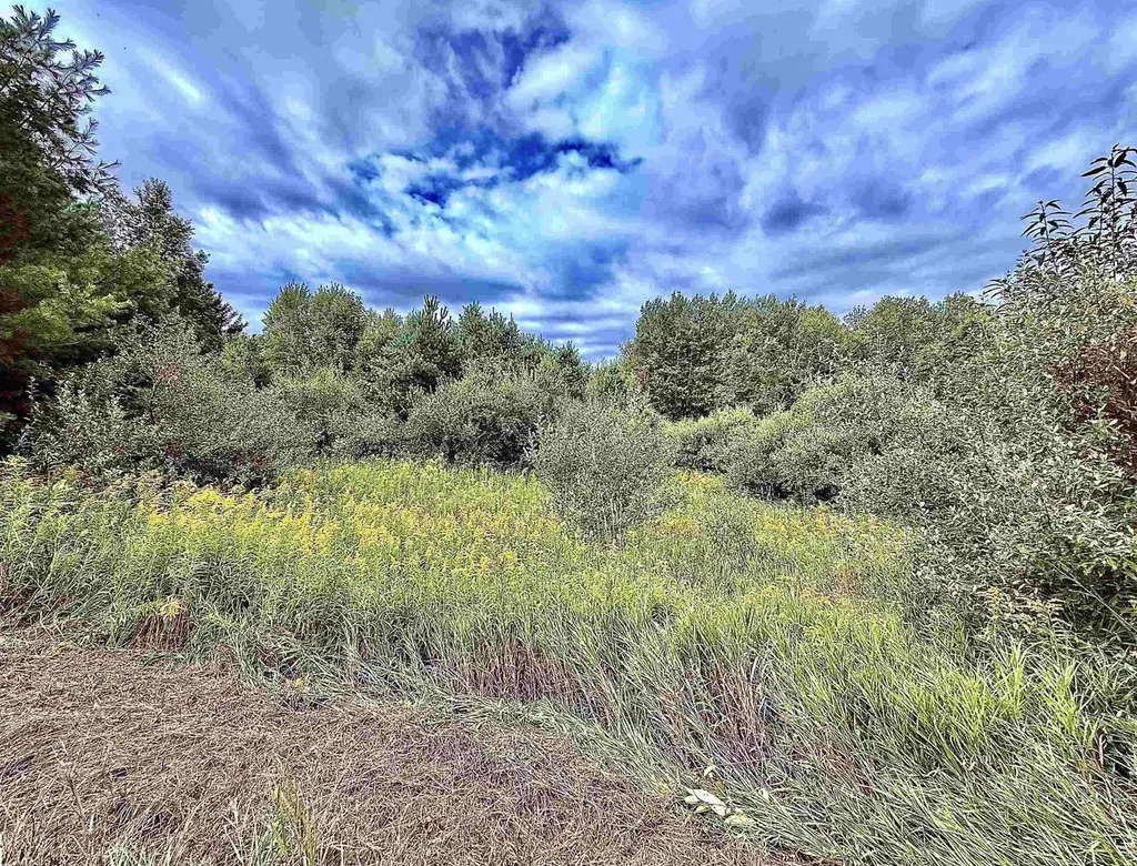 694 W M-113 Mayfield Township MI 49649
