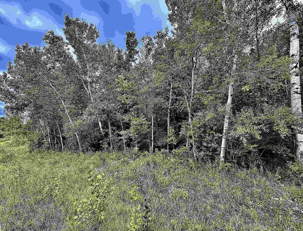 694 W M-113 Mayfield Township MI 49649